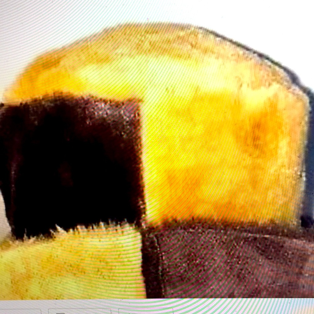 Steve Madden Suede & Faux Fur Bucket Hat